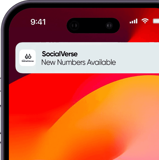 Phone interface for receiving SMS